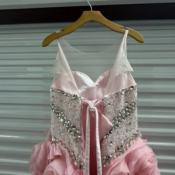 Blush Pink Beaded Ball Gown with Rosette Skirt – Medium Fit - Picture 9 of 16